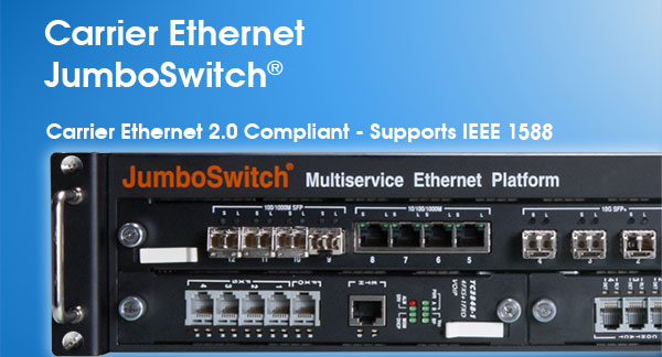 Introducing the 10G JumboSwitch®
