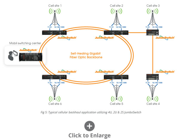 Application Figure 5