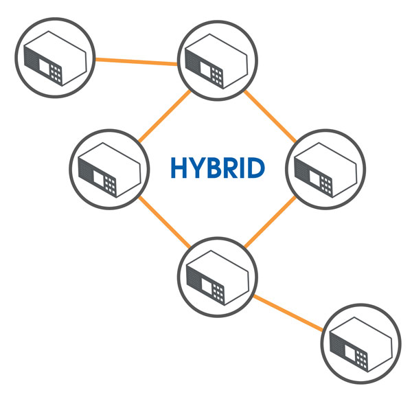 Network Topology Hybrid