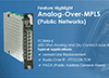 Feature Highlight: Analog-Over-MPLS (Public Networks)