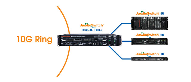 JumboSwitch 10G Options
